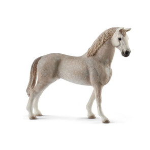 SCHLEICH Фигурка ХОЛЩАЙН КОН