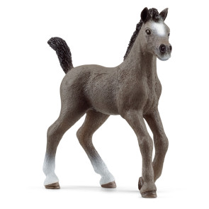 SCHLEICH  Сел франс конче