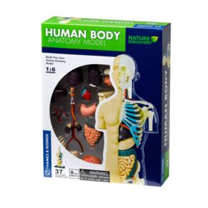 Thames & Kosmos - Конструирай модел на човешкото тяло