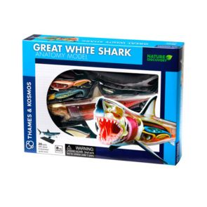 Thames & Kosmos - Конструирай анатомичен модел на бяла акула