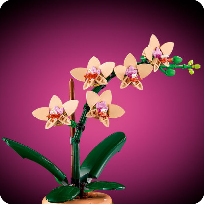 LEGO Botanicals Мини орхидея 10343